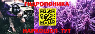 мяу мяу мука Малгобек